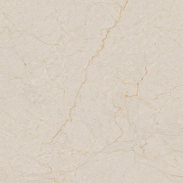Arcana Ceramica | Black & Cream